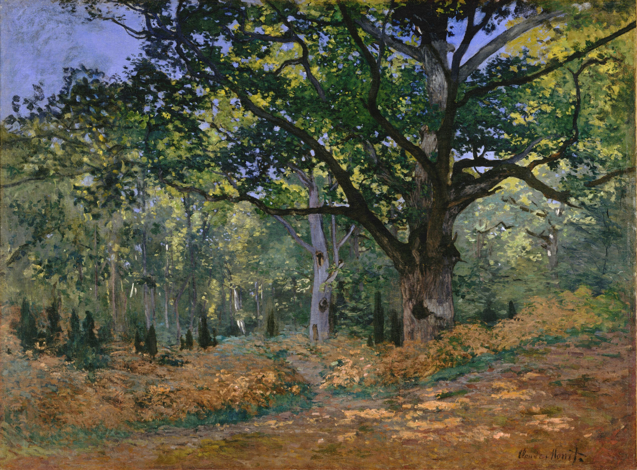 The Bodmer Oak, Fontainebleau 1865